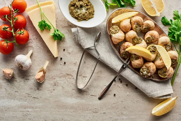 Top view of delicious served escargots near fresh ingredients on stone background — Stock Image Top View Delicious Served Escargots Fresh Ingredients Stone Background Royalty Free Stock Photos