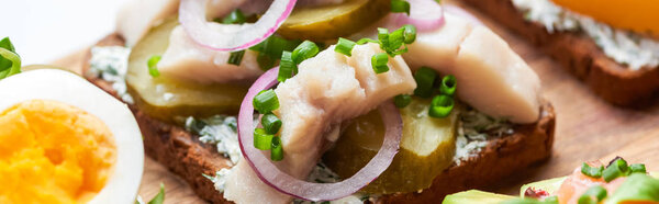 panoramic shot of herring fish fillet on danish smorrebrod 