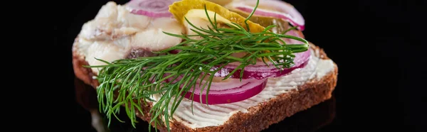 Panoramic Shot Dill Delicious Danish Smorrebrod Sandwich Black — Stock Photo, Image