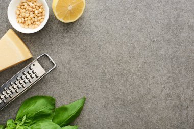 Pesto sosunun üst görüntüsü ham malzemeler ve gri yüzeyde rendeleyici