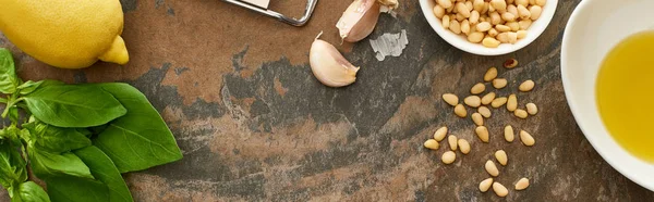 Vista Superior Ingredientes Molho Pesto Ralador Superfície Pedra Tiro Panorâmico — Fotografia de Stock