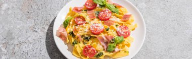 Domatesli lezzetli Pappardelle, pesto ve gri yüzeyli prosciutto, panoramik çekim