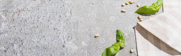 basil leaves near napkin and pine nuts on grey surface, panoramic shot