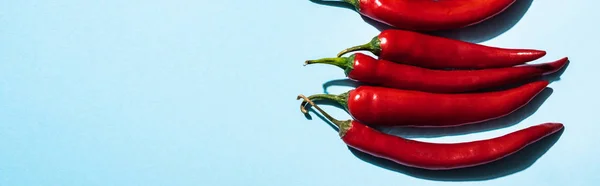 Top View Whole Chili Peppers Blue Surface Panoramic Shot — Stock Photo, Image