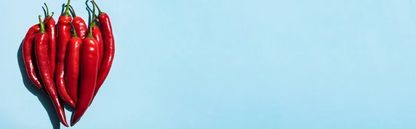 Ovanifrån Mogen Chili Paprika Blå Bakgrund Med Kopieringsutrymme Panorama Skott — Stockfoto