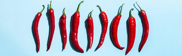 Top View Chili Peppers Shadow Blue Surface Panoramic Shot — Stock Photo, Image