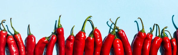 Top View Raw Chili Peppers Blue Background Panoramic Shot — Stock Photo, Image