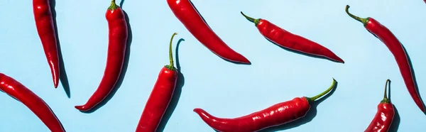 Bovenaanzicht Van Pittige Chili Pepers Blauw Oppervlak Panoramisch Schot — Stockfoto