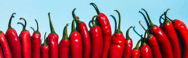 Top View Ripe Chili Peppers Blue Background Panoramic Shot — Stock Photo, Image