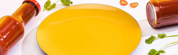 Панорамный снимок бутылок с кетчупом с кинзой и пластиной на белом фоне
