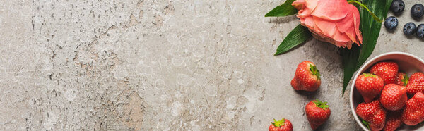 top view of berries on grey concrete surface with blooming rose, panoramic shot