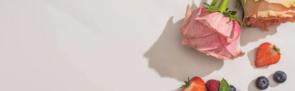 白い背景においしい果実とバラのトップビュー パノラマショット — ストック写真
