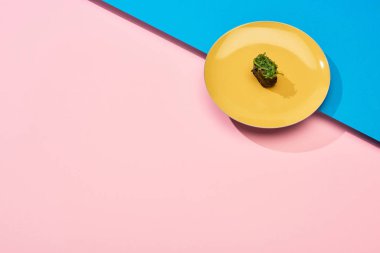 Mavi, pembe yüzey üzerinde deniz yosunu olan taze nigiri