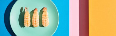 Mavi, pembe, turuncu arka planda karidesli taze nigiri, panoramik çekim