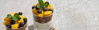 Lezzetli granola konserve şeftali, yabanmersini ve yoğurt ile gri beton yüzeyde chia tohumu, panoramik çekim