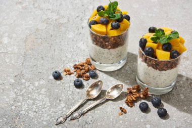 Lezzetli granola konserve şeftali, yabanmersini ve yoğurt ile gri beton yüzey üzerinde chia tohumu ve kaşıklarla