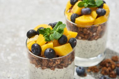 Lezzetli granola, konserve şeftali, yabanmersini ve yoğurt ve gri beton yüzeyde chia tohumları.
