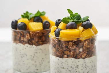 Lezzetli granola, konserve şeftali, yabanmersini ve chia tohumlu yoğurt manzarasını kapatın.