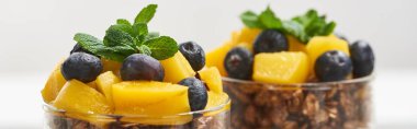 Lezzetli granola, konserve şeftali, yaban mersini ve nane, panoramik çekim