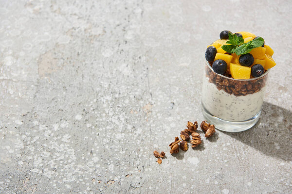 fresh granola with canned peach, blueberries and chia seeds on grey concrete surface