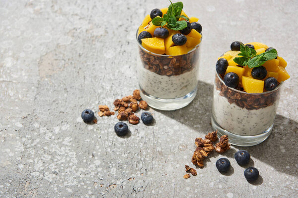tasty granola with canned peach, blueberries and yogurt with chia seeds on grey concrete surface