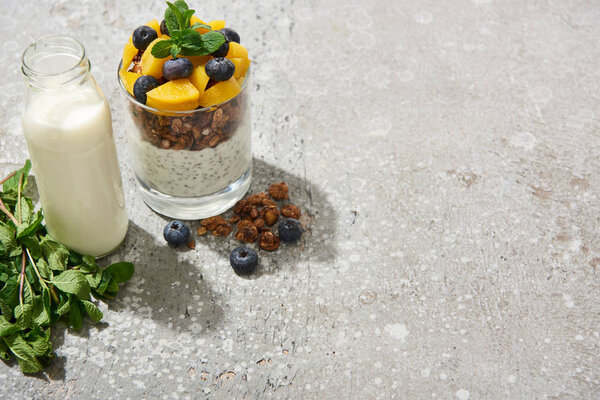 tasty granola with canned peach, blueberries and yogurt with chia seeds on grey concrete surface with milk and mint