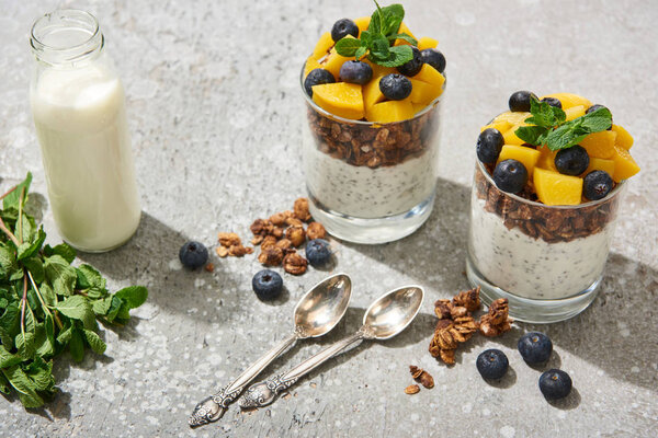 tasty granola with canned peach, blueberries and yogurt with chia seeds on grey concrete surface with spoons, mint and milk