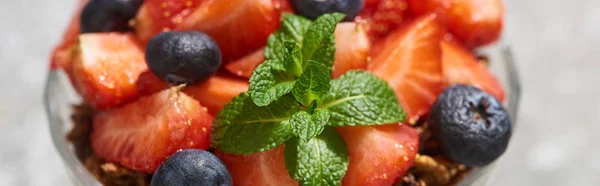 Close View Delicious Granola Berries Mint Grey Concrete Surface Panoramic — Stock Photo, Image