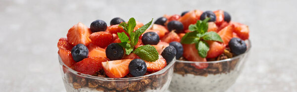 selective focus of delicious granola with berries and mint on grey concrete surface, panoramic shot