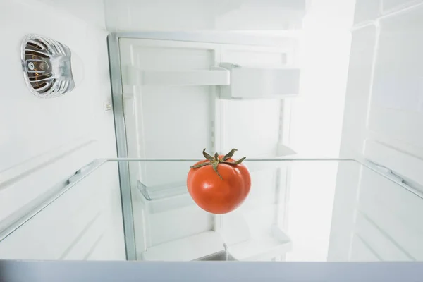 Fresh tomato on shelf of refrigerator with open door isolated on white