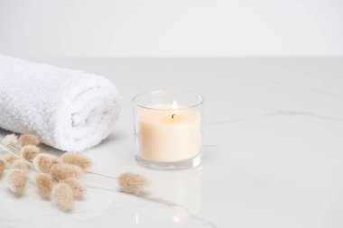 fluffy bunny tail grass near burning white candle in glass and rolled towel on marble white surface clipart