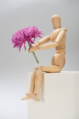 Wooden puppet with aster flower on cube on grey background clipart
