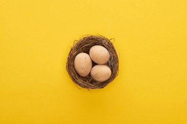 Yuvadaki tavuk yumurtalarının üst görüntüsü renkli sarı arka planda