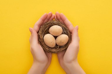 Renkli sarı arka planda tavuk yumurtası tutan kadın görüntüsü.