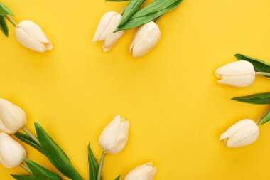 top view of spring tulips on colorful yellow background clipart