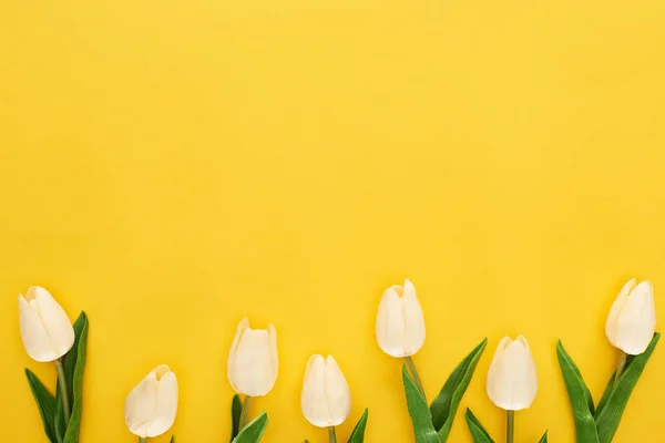 Vista Superior Tulipanes Sobre Fondo Amarillo Colorido Con Espacio Copia — Foto de Stock