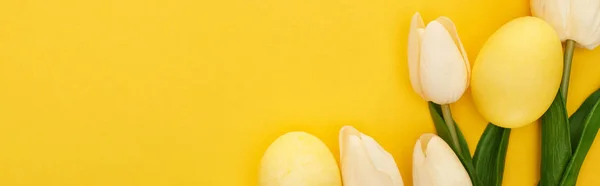 チューリップのトップビューとカラフルな黄色の背景にイースターエッグを描いたパノラマショット — ストック写真