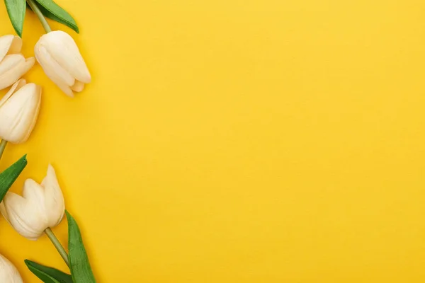 Bovenaanzicht Van Lente Tulpen Kleurrijke Gele Achtergrond Met Kopieerruimte — Stockfoto