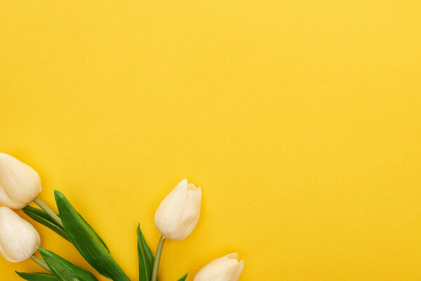 top view of spring tulips on colorful yellow background
