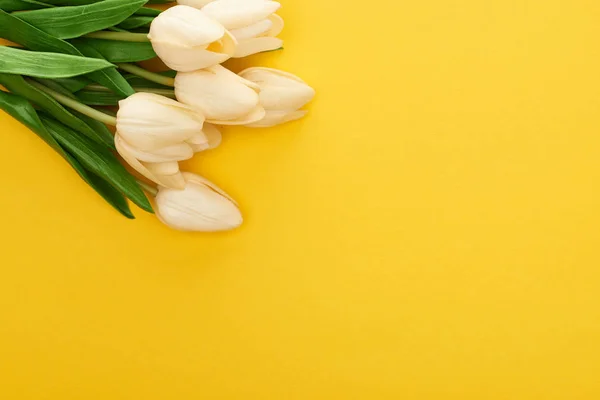 Vista Superior Los Tulipanes Primavera Sobre Fondo Amarillo Colorido — Foto de Stock