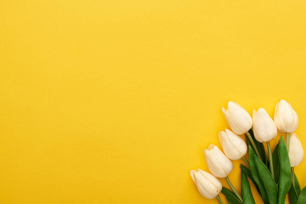 Верхний вид весенних тюльпанов на красочном желтом фоне