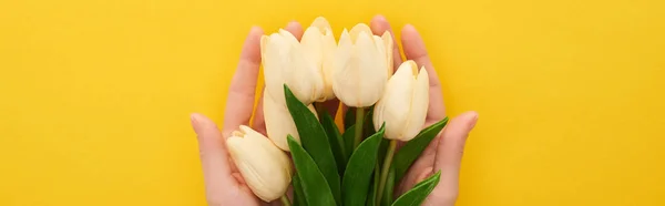 Oříznutý Pohled Ženu Držící Jarní Tulipány Barevném Žlutém Pozadí Panoramatický — Stock fotografie