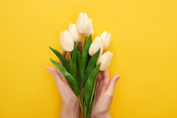 cropped view of woman holding spring tulips on colorful yellow background