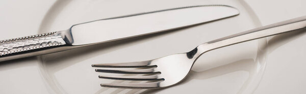Panoramic shot of shiny cutlery on clear plate 