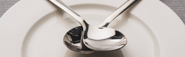 Panoramic shot of two shiny spoons on plate