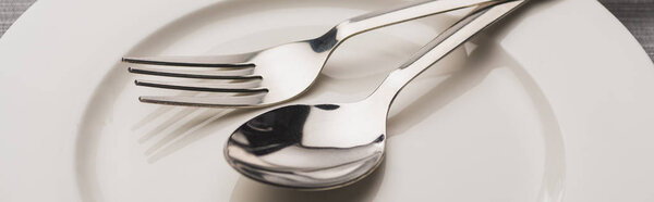Close up view of spoon and fork on clear plate, panoramic shot