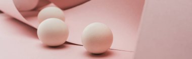 Sarmal kağıtta tavuk yumurtası Pembe girdaplar, panoramik çekim