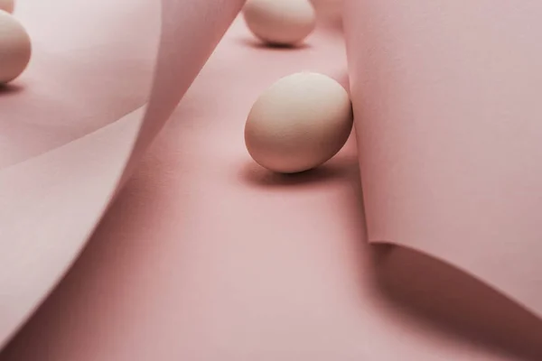 Chicken Eggs Spiral Paper Pink Swirls — 스톡 사진