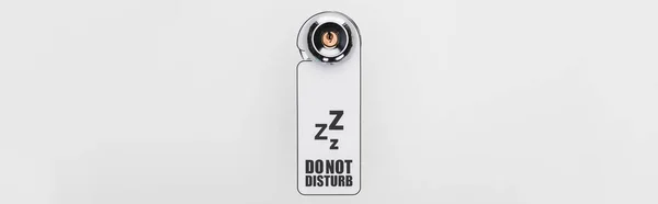 Disturb Sign Handle Lock White Background Panoramic Shot — 스톡 사진