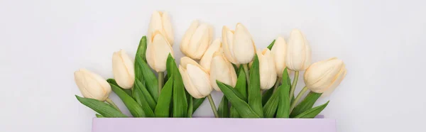 Top View Tulips Violet Shopping Bag Isolated White Panoramic Shot — 스톡 사진